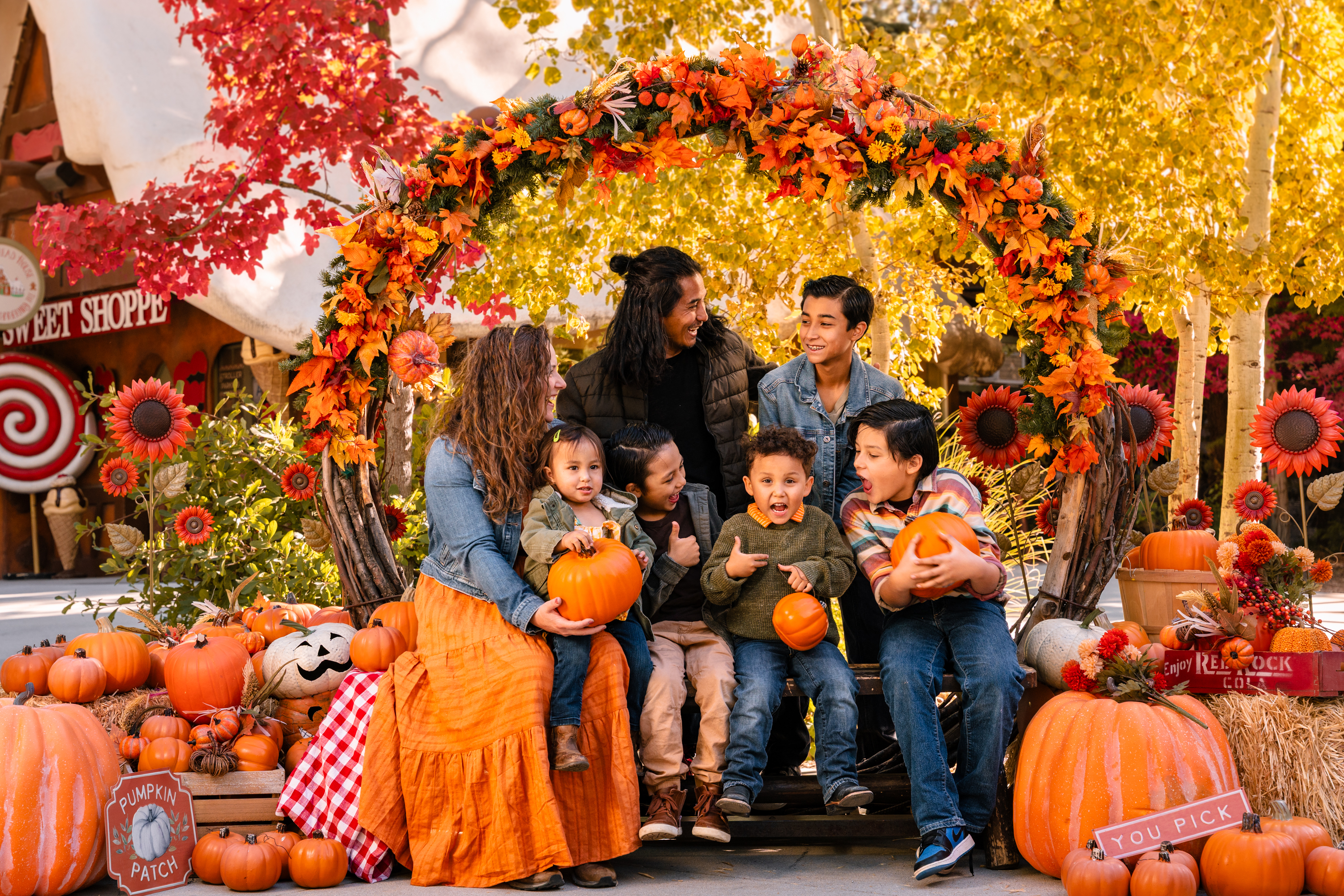 Pumpkins in the Pines