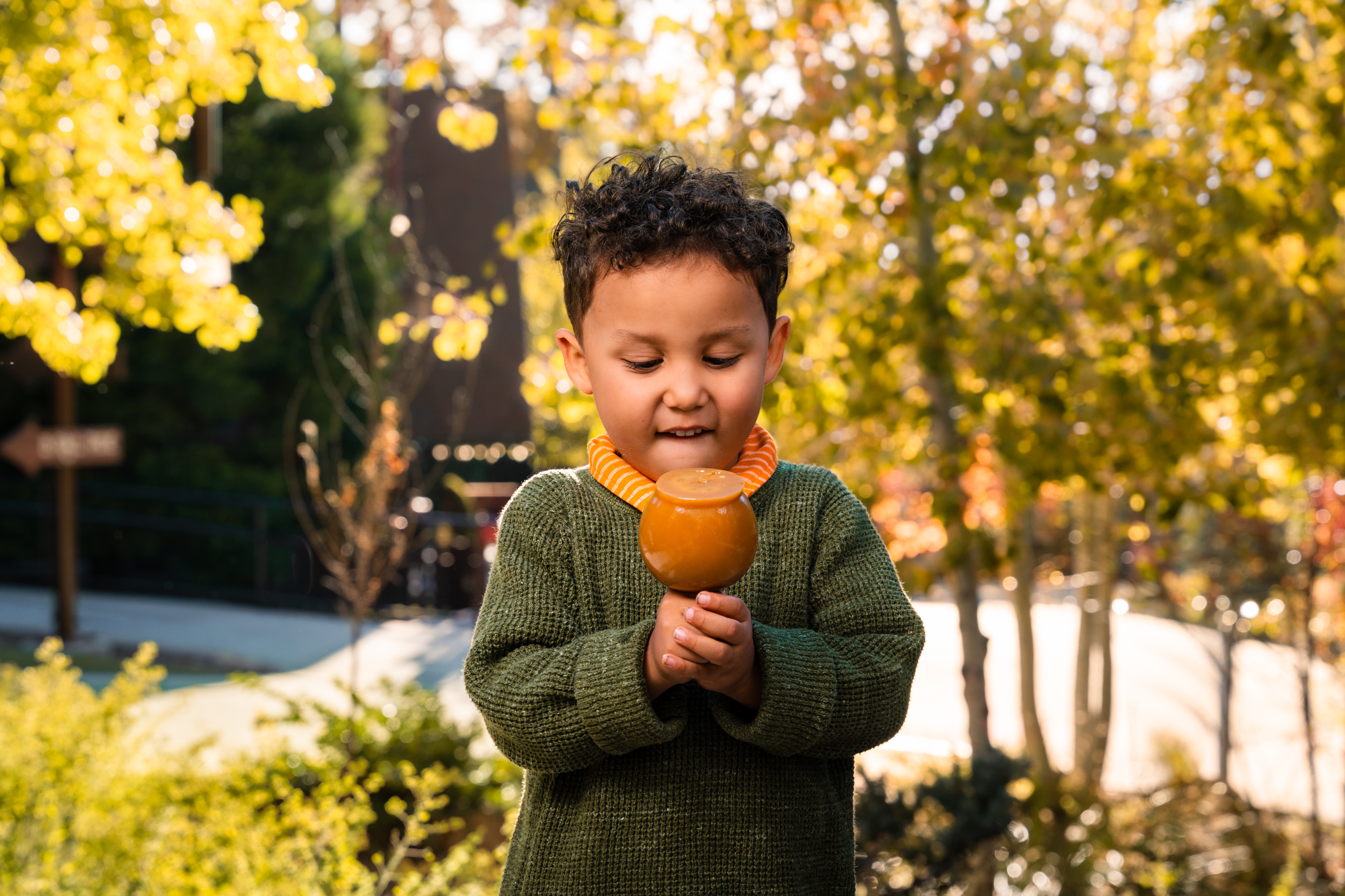 Pumpkins in the Pines